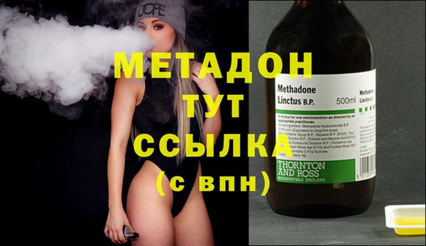 прущие грибы Абаза