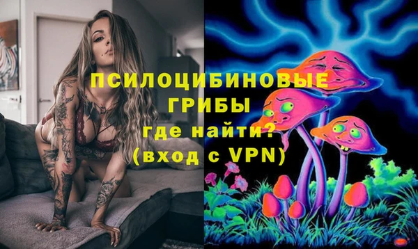прущие грибы Абаза