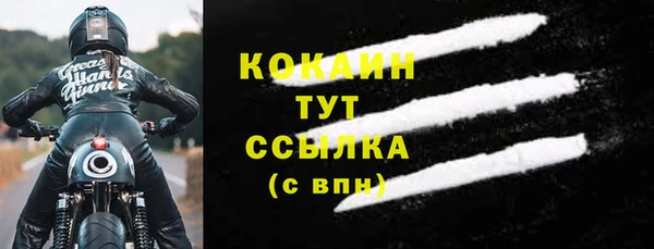прущие грибы Абаза