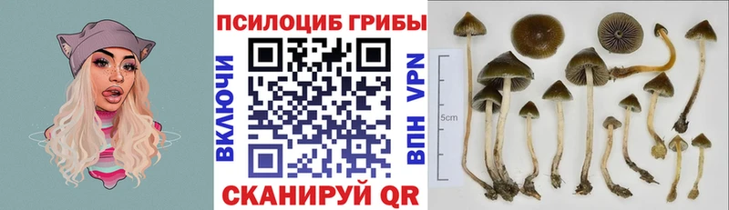 Псилоцибиновые грибы прущие грибы  как найти закладки  Истра 